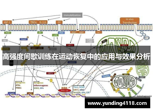 高强度间歇训练在运动恢复中的应用与效果分析